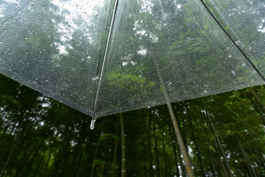一瞬の雨…。