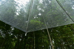 一瞬の雨…。