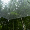 一瞬の雨…。