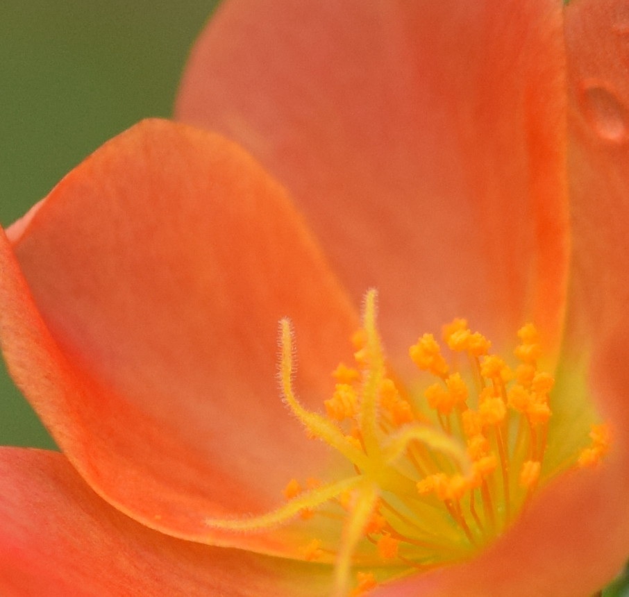 君に負けないくらいに、笑顔でいたい♪