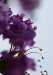 昨日の私をきっと忘れないで。