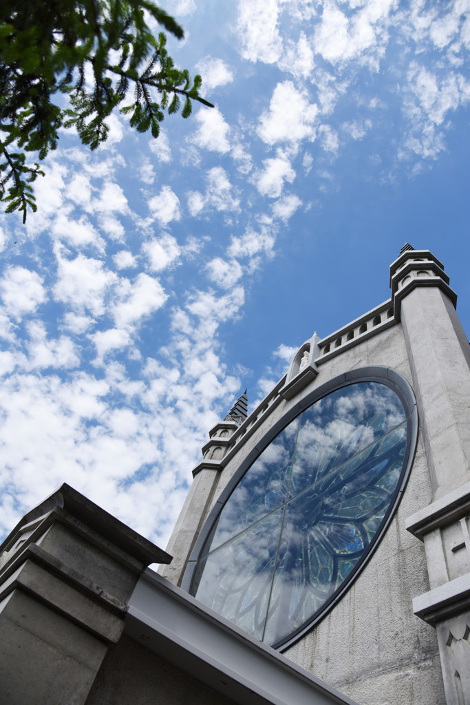 カメラを持って試行錯誤！不審者…（笑）