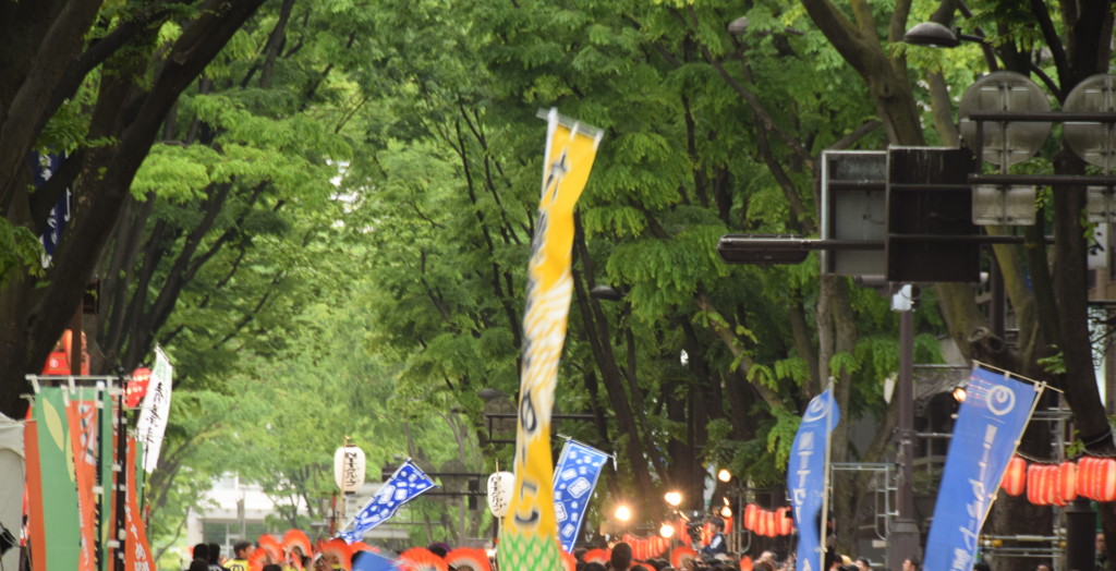 どんどこどんどこ、青葉のもとで太鼓が響くよ、扇子が舞うよ。