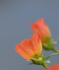 ちょっとだけ泣いた…。