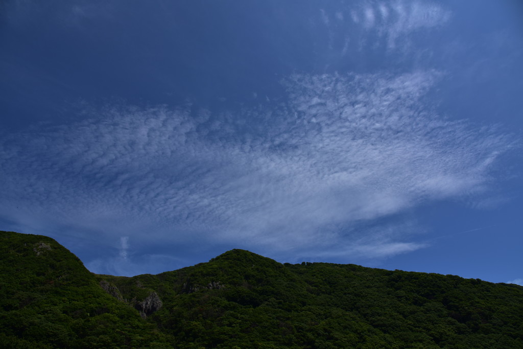 The KUMO.