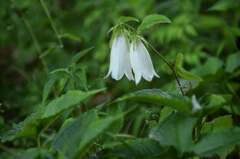 一緒なら平気さ。