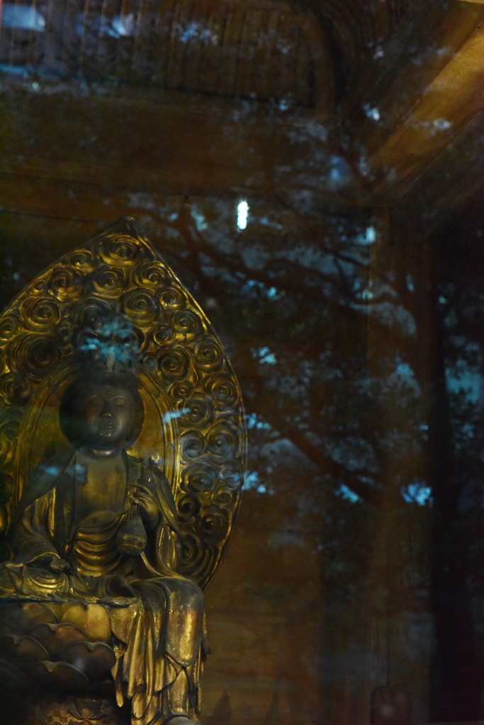 一日の始まり。