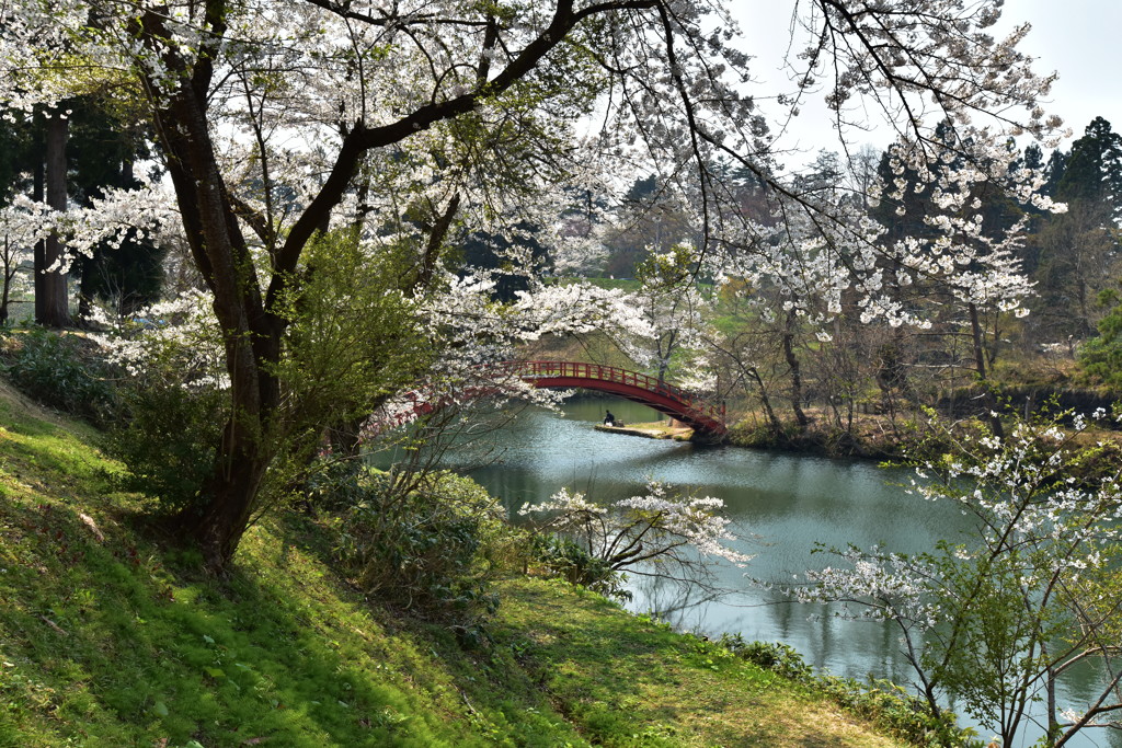 横手公園。