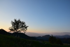 明日が良い日であることを願う。