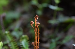 今日はいい天気だね〜。