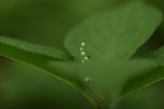 やさしく、力強く、そこにいる。