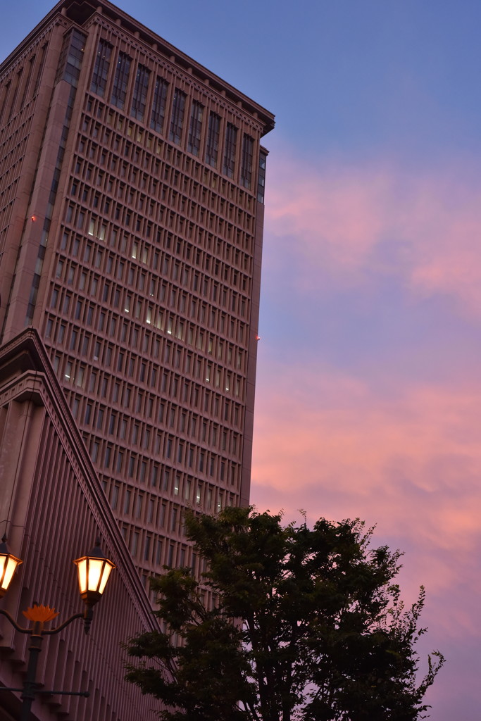 空、一瞬の逢瀬。
