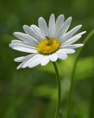 よしよし、どんまいどんまい！