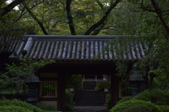 静かな朝。