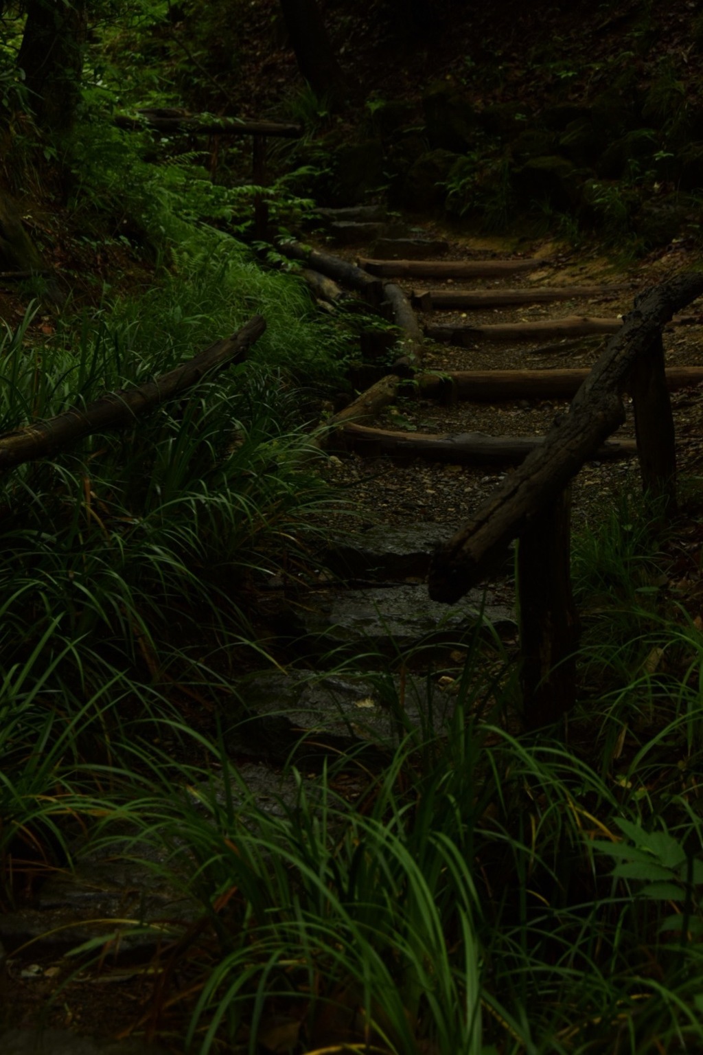 ひとり、今を味わう。