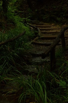 ひとり、今を味わう。