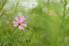 君を見失わないように…。