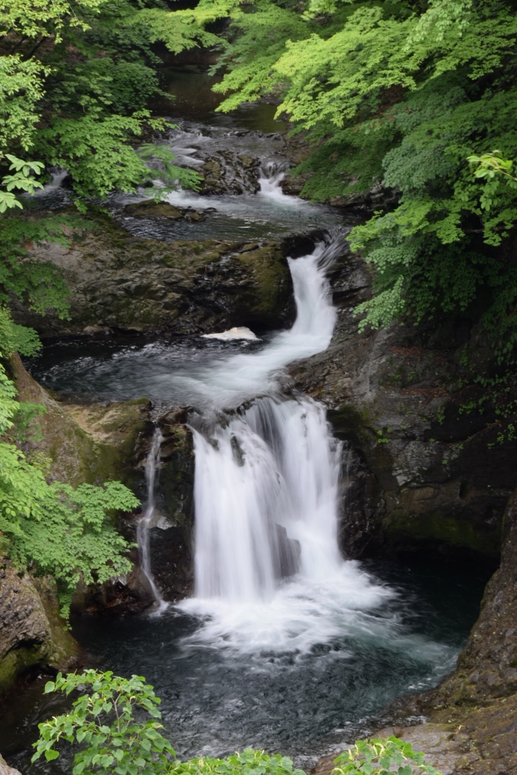 地元の人になりたい!