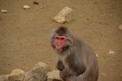 今年は世話になったな！12年後にまたな！