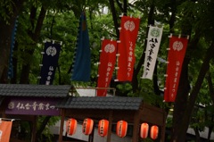 どんどこどんどこ、青葉のもとで太鼓が響くよ、扇子が舞うよ。