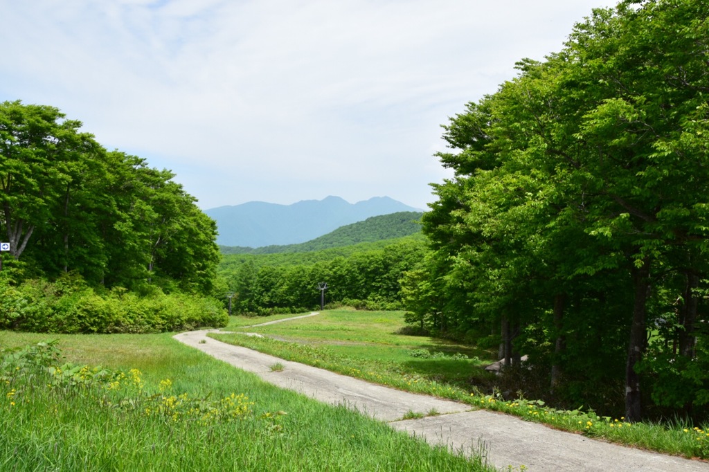 山の向こうの君まで歩く。
