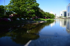 毎日歩きたい場所♪