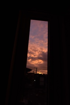 きっと明日も君を想う。