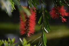 君から目が離せない!