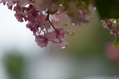 君の姿が涙でかすむ。