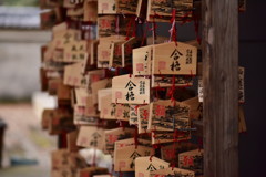 願　Ⅰ