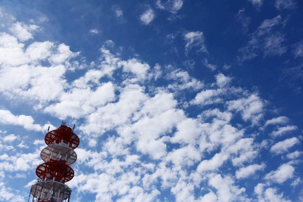 いい空だなぁ♪