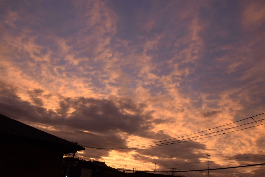 さよならまたね。必ずまたね。