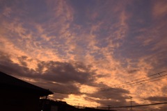 さよならまたね。必ずまたね。