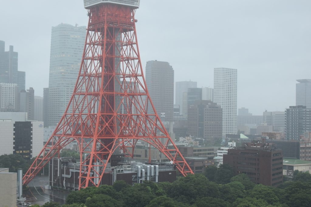 東京。雨。