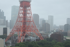 東京。雨。