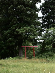 妖怪いるかな…。