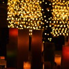 君とクリスマス♪