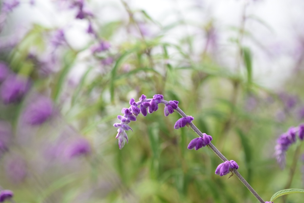 凹む〜。 ドンマイ!