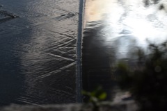 たまには無になり。ふとした日常を…。