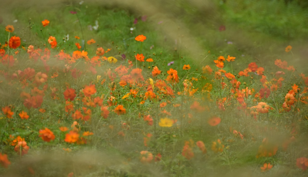 僕と君、なんとなくハッピーがちょうどいいのかな♪
