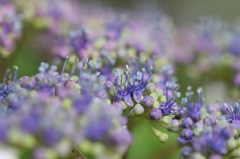 僕等はカメラマンの人気者さ!