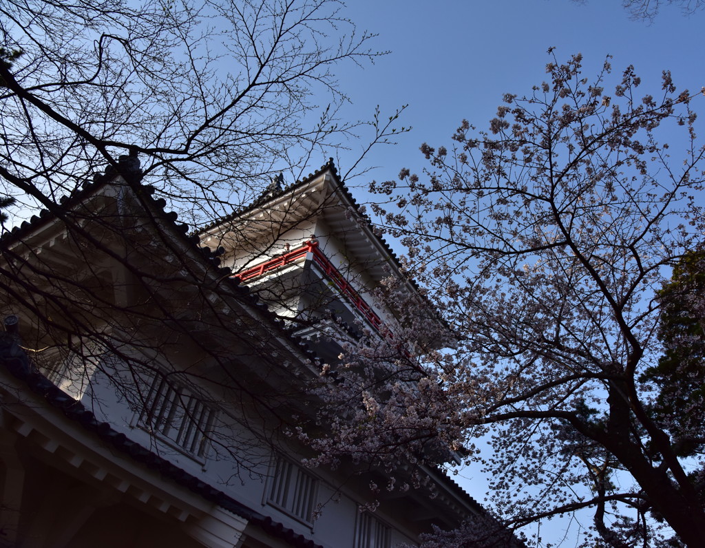 久保田城　御隅櫓。