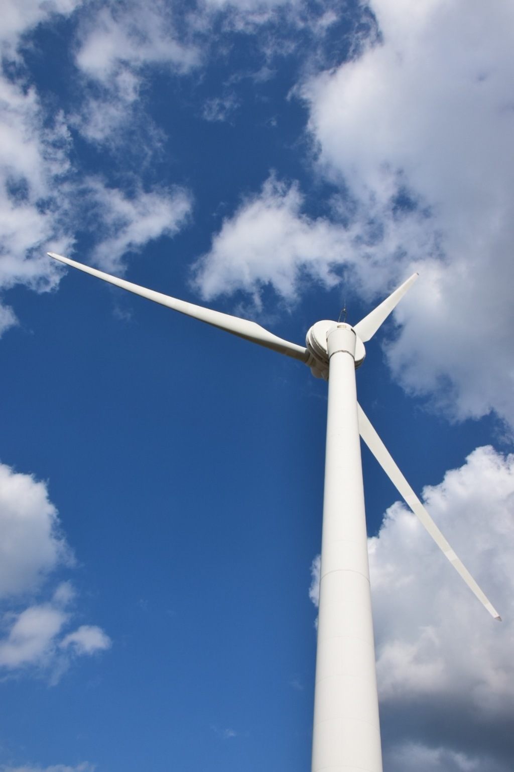 風のエネルギーすごい!