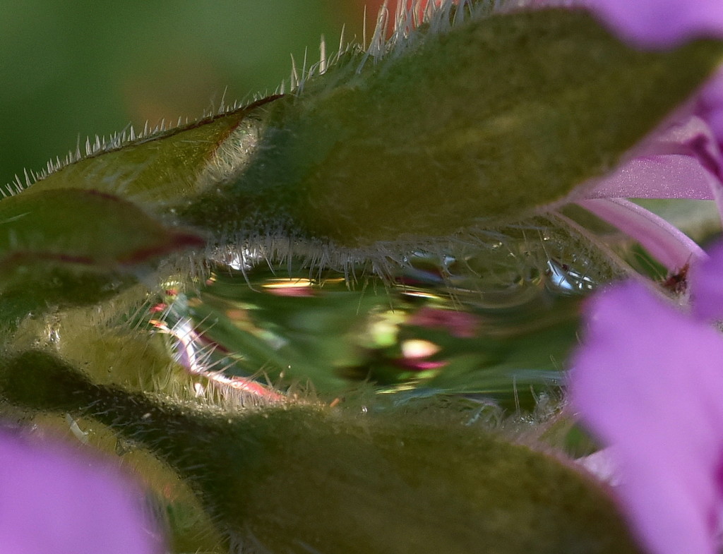 見る。∞…。