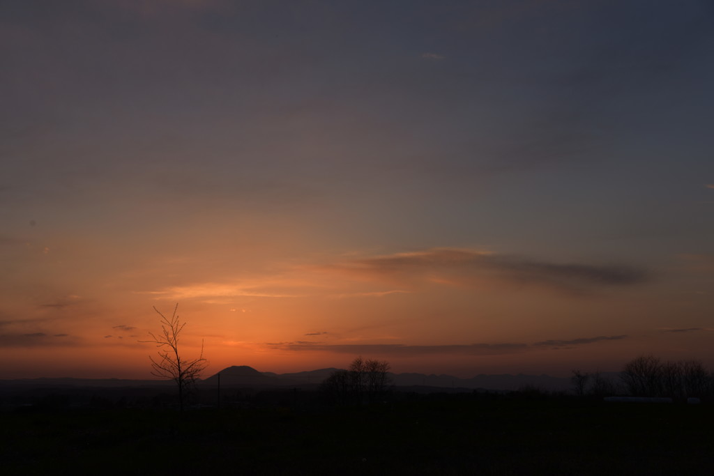 夕日シリーズ　好きなの、ある？