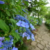 アンバランス。