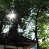 寒河江八幡宮