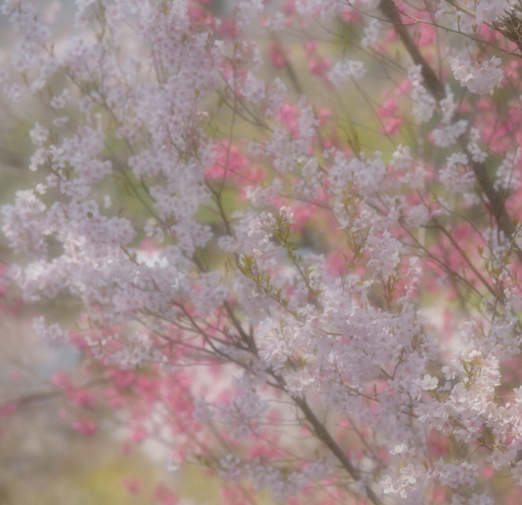 甘いおしゃべり♪