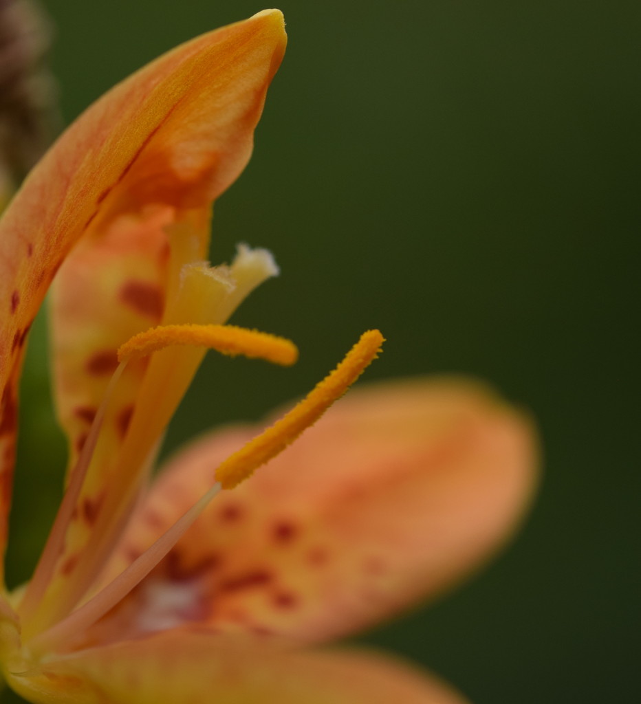 君の手はすぐそばにあるのに。