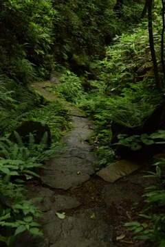 ひとり、今を味わう。